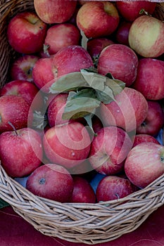 Healthy Organic red Apples in the Basket in a market during food festival