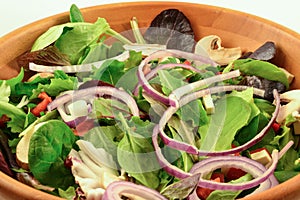 Healthy organic salad