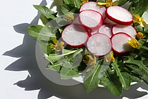 Healthy organic vegetarian salad with fresh radish and dandelion leaves decorated with edible yellow flowers.