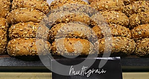 Healthy Organic Whole Grain Bagel for Breakfast. Bagels with a variety of seeds on a gray background. Food background