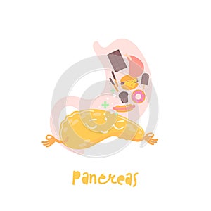 Healthy pancreas. Cartoon character. Healthcare, anatomy, pancreatitis, transplantation image.