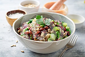 Healthy pearl barley salad with beans, cucumbers, red onion, sunflower seeds, pomegranate and parsley in bowl