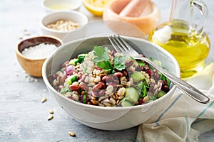 Healthy pearl barley salad with beans, cucumbers, red onion, sunflower seeds, pomegranate and parsley in bowl