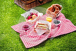 Healthy picnic for a summer vacation