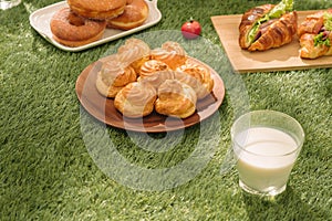 Healthy picnic for a summer vacation with freshly baked croissants, fresh fruit and fruit salad, sandwiches and a glass