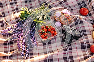 Healthy picnic for a summer vacation with freshly baked croissants, fresh fruit and fruit salad, sandwiches and a glass of