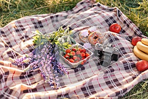 Healthy picnic for a summer vacation with freshly baked croissants, fresh fruit and fruit salad, sandwiches and a glass of