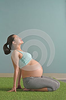 Healthy pregnant woman sitting on the grass thinking good things