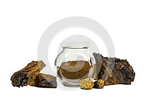 Healthy pure wild natural chaga mushroom  Inonotus obliquus powder in glass jar.