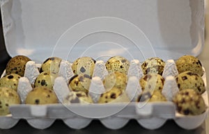 Healthy quail eggs stock photo. Easter Background stock photo.