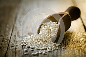 Healthy quinoa seeds