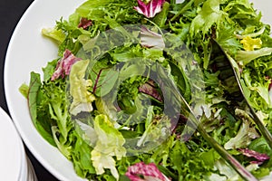 Healthy raw green vegetables in white bowl for salad.