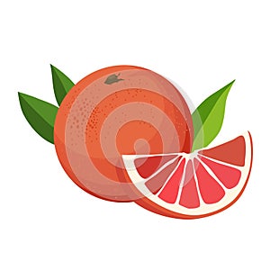 Healthy red grapefruit and half . Isolated vector fruit in flat style. Summer clipart for design