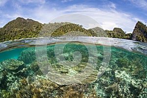 Healthy Reef and Islands in Raja Ampat