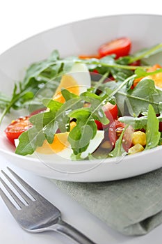 Healthy rocket salad