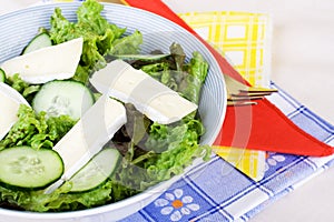 Healthy salad with camembert.