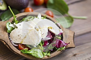 Healthy salad with mozarella cheese slices