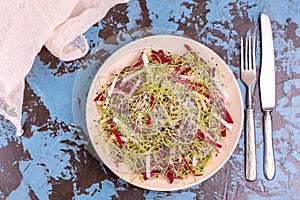Healthy salad with raw beetroot, radish and leek sprouts
