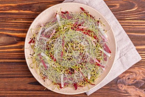Healthy salad with raw beetroot, radish and leek sprouts