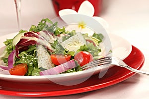 Healthy Salad on a Red Plate