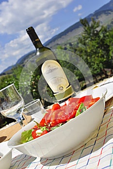 Healthy salad and wine, picnic