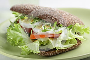 Healthy sandwich