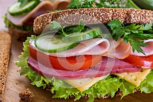 Healthy sandwich on rye bread