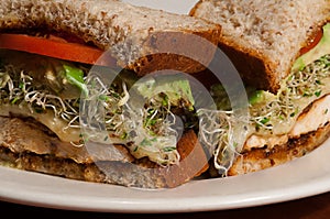 Healthy Sandwitch Close Up