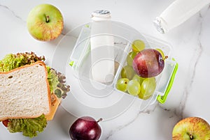 Healthy school lunch box