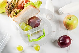 Healthy school lunch box