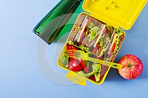 Healthy school lunch box with beef sandwich and fresh vegetables