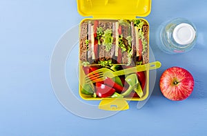 Healthy school lunch box with beef sandwich and fresh vegetables