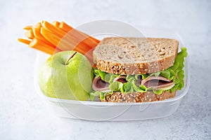 Healthy school lunch with a sandwich and fresh fruits in a box