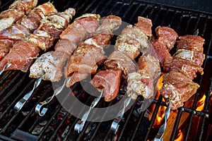 healthy shish kebab grilled bbq chicken turkish meat on skewers over charcoal brazier outdoor