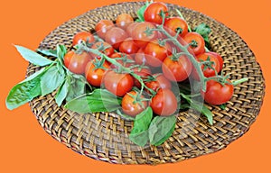 Healthy snack of cherry tomatoes on a stem with basil on wicker plate for vegans