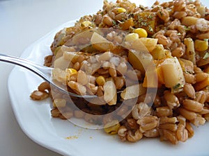 Healthy spelled salad vith vegetables served on a white plate