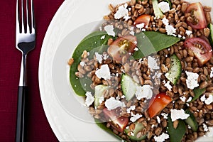 Healthy Spelt Salad