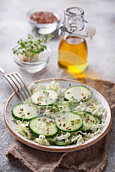 Healthy spring salad with cucumber, flax seed and cress