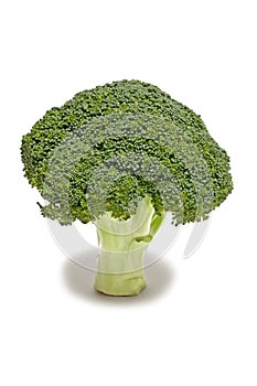 Broccoli floret photo
