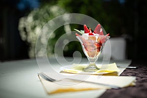 Healthy strawberries and cream refreshing light dessert.Whipping cream with strawberry pieces served in elegant glass cup.Homemade