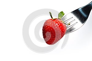 Healthy Strawberry impale with stanley fork on white isolated background photo