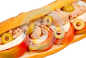 Healthy sub