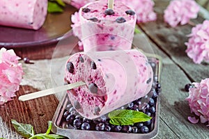 Healthy summer desserts. Ice cream popsicles with frozen black currant, fresh mint and berries, pink wisteria flowers on metal tra