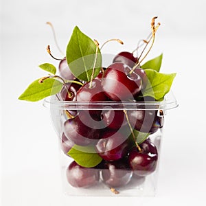Healthy summer fruit - red ripe fresh cherries with green leaves in plastic box on white table, marble tile wall in sunlight.