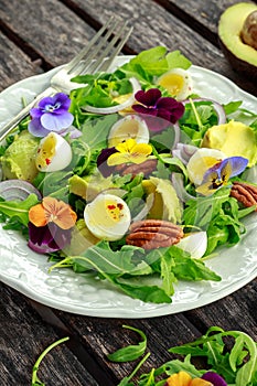 Healthy summer salad with quail eggs, avocado, pecans, wild rocket, red onion and edible viola flowers.