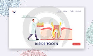 Healthy Teeth Anatomy and Inside Structure Landing Page Template. Tiny Dentist Male Doctor Character Put Part of Dentin photo