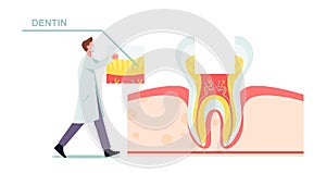 Healthy Teeth Anatomy and Structure Concept. Tiny Dentist Doctor in Mask and White Robe Put Part of Dentin on Huge Tooth