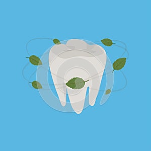 Healthy teeth, fresh breath, mint leaves