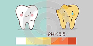 Healthy teeth and tooth decay photo