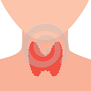 Healthy thyroid gland on neck silhouette diagram